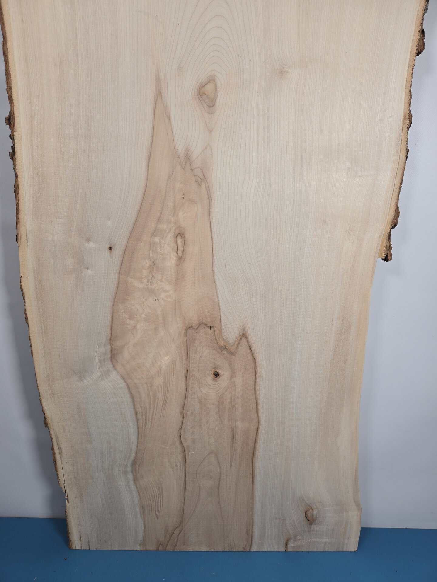 Live edge Sycamore - Image 9