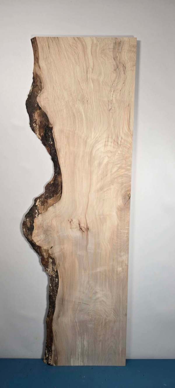 Waney Edge Sycamore Board