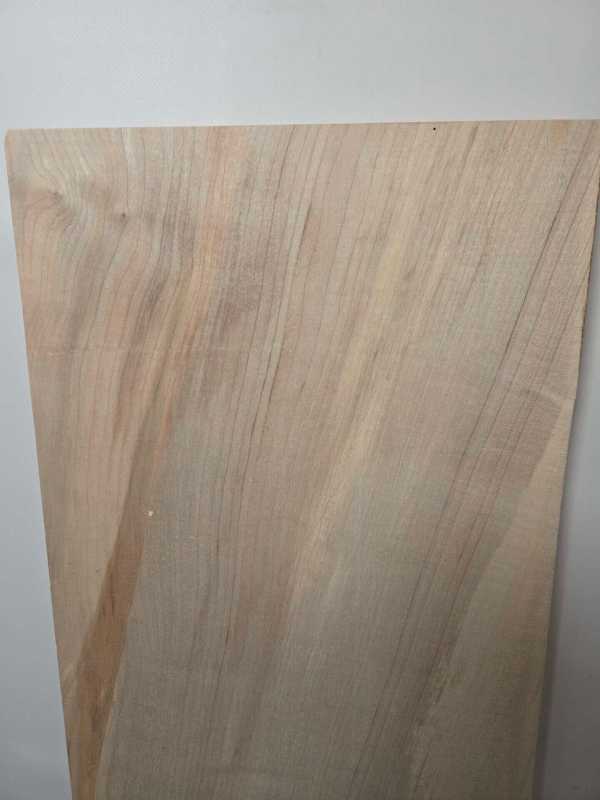 Straight edge 40mm Sycamore