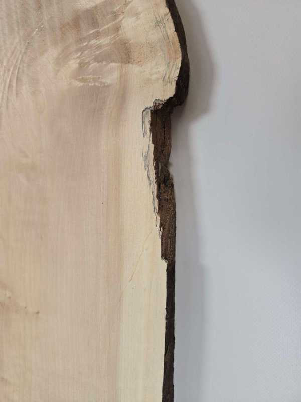 Large Sycamore Board