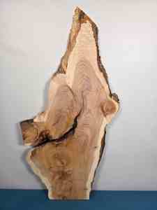 Naturally Shaped Yew