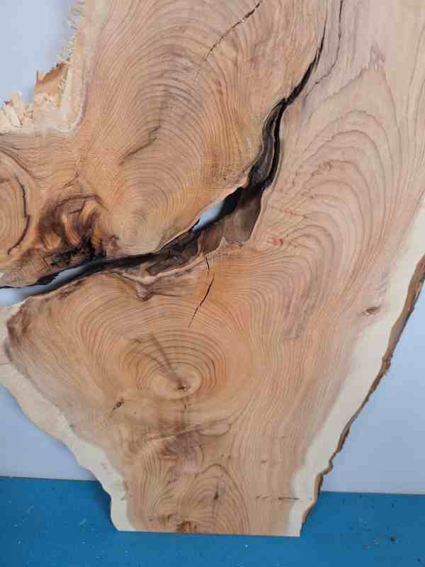 Naturally Shaped Yew