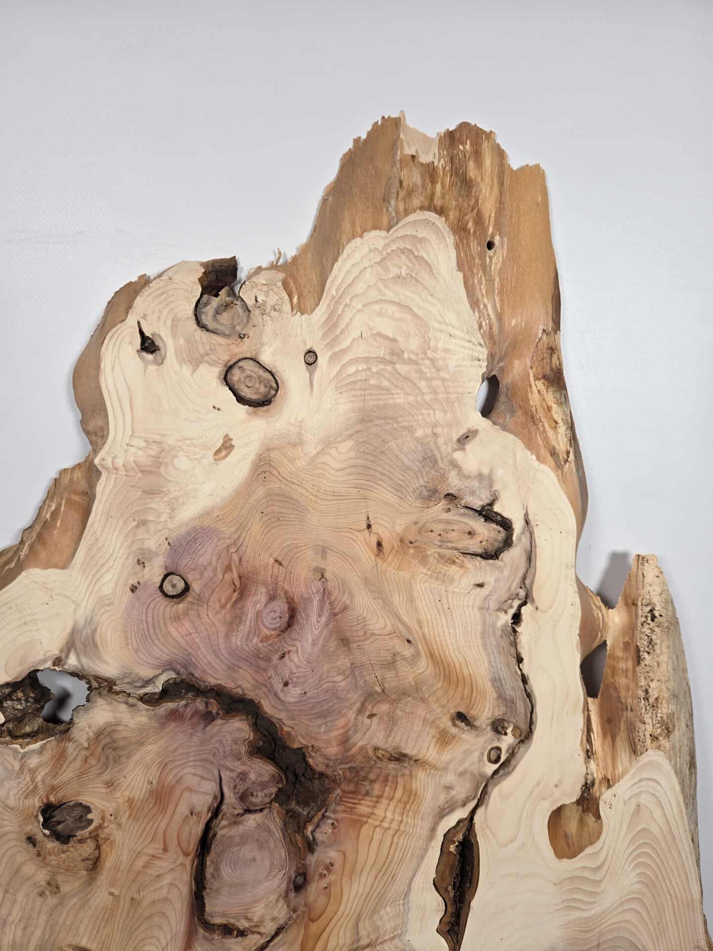 Characterful Yew Offcut - Image 2