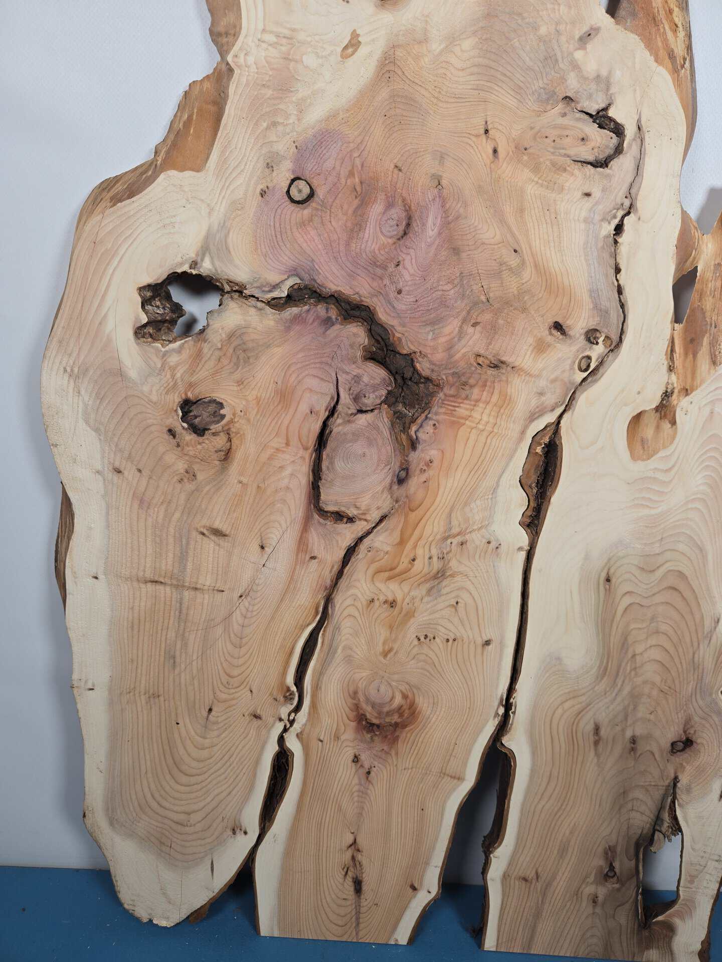 Characterful Yew Offcut - Image 3