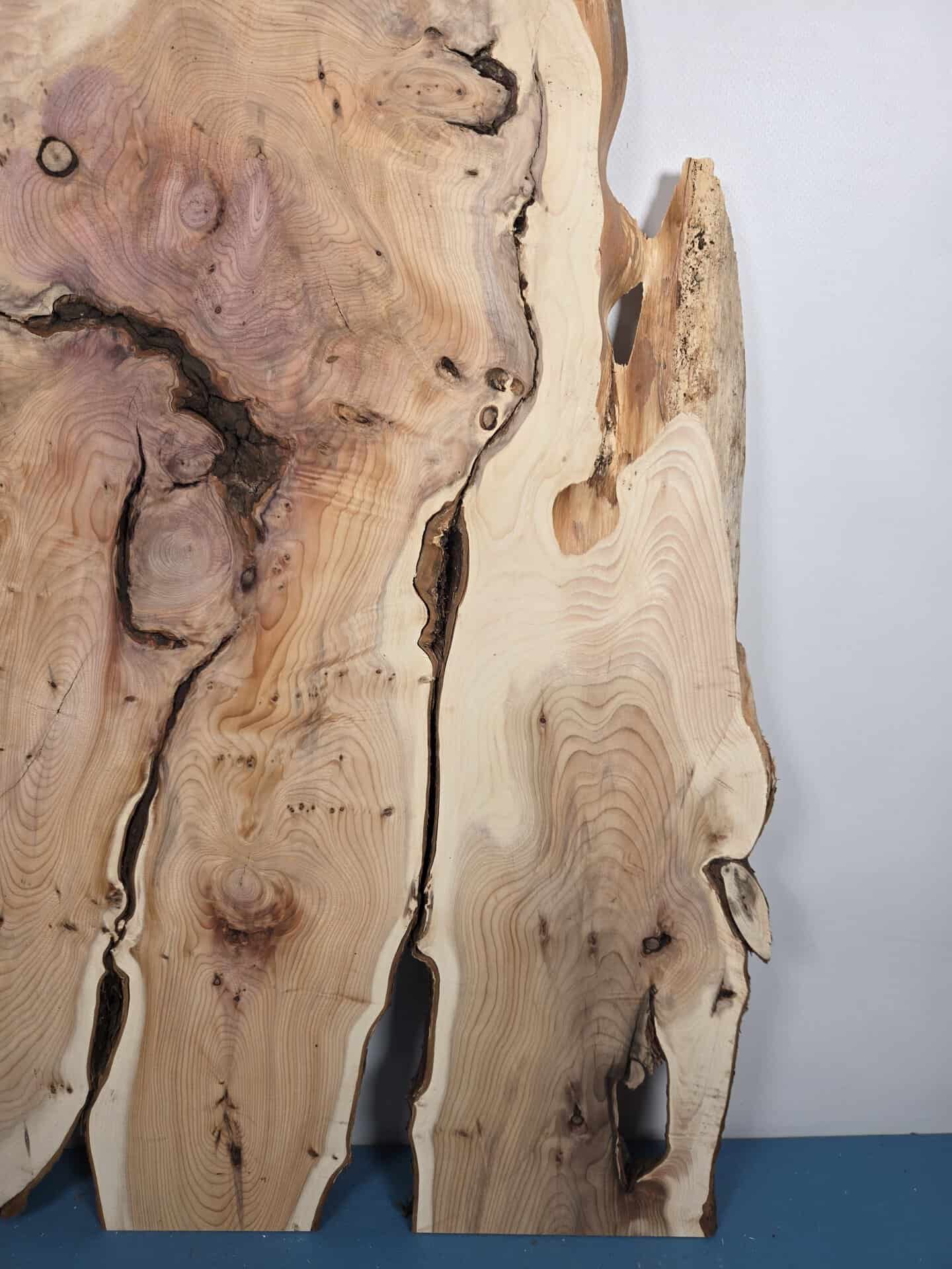 Characterful Yew Offcut - Image 4