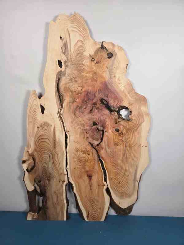 Characterful Yew Offcut
