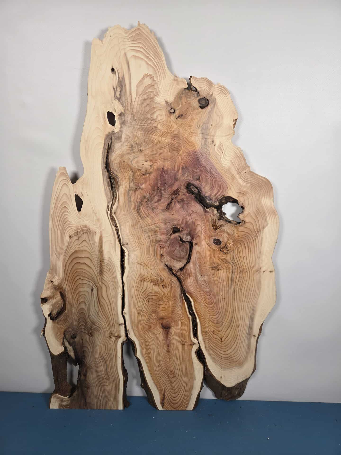 Characterful Yew Offcut - Image 6