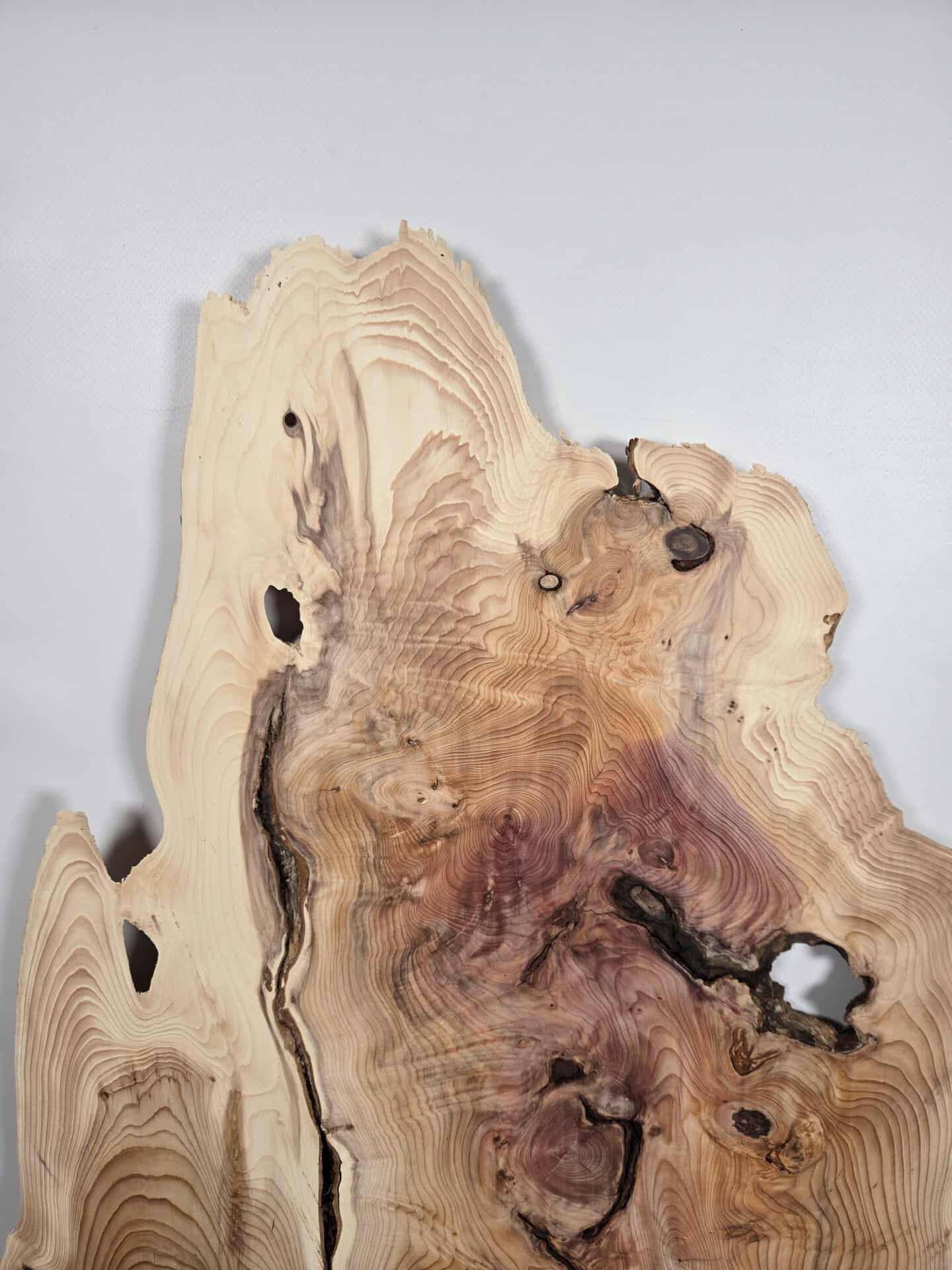 Characterful Yew Offcut - Image 7