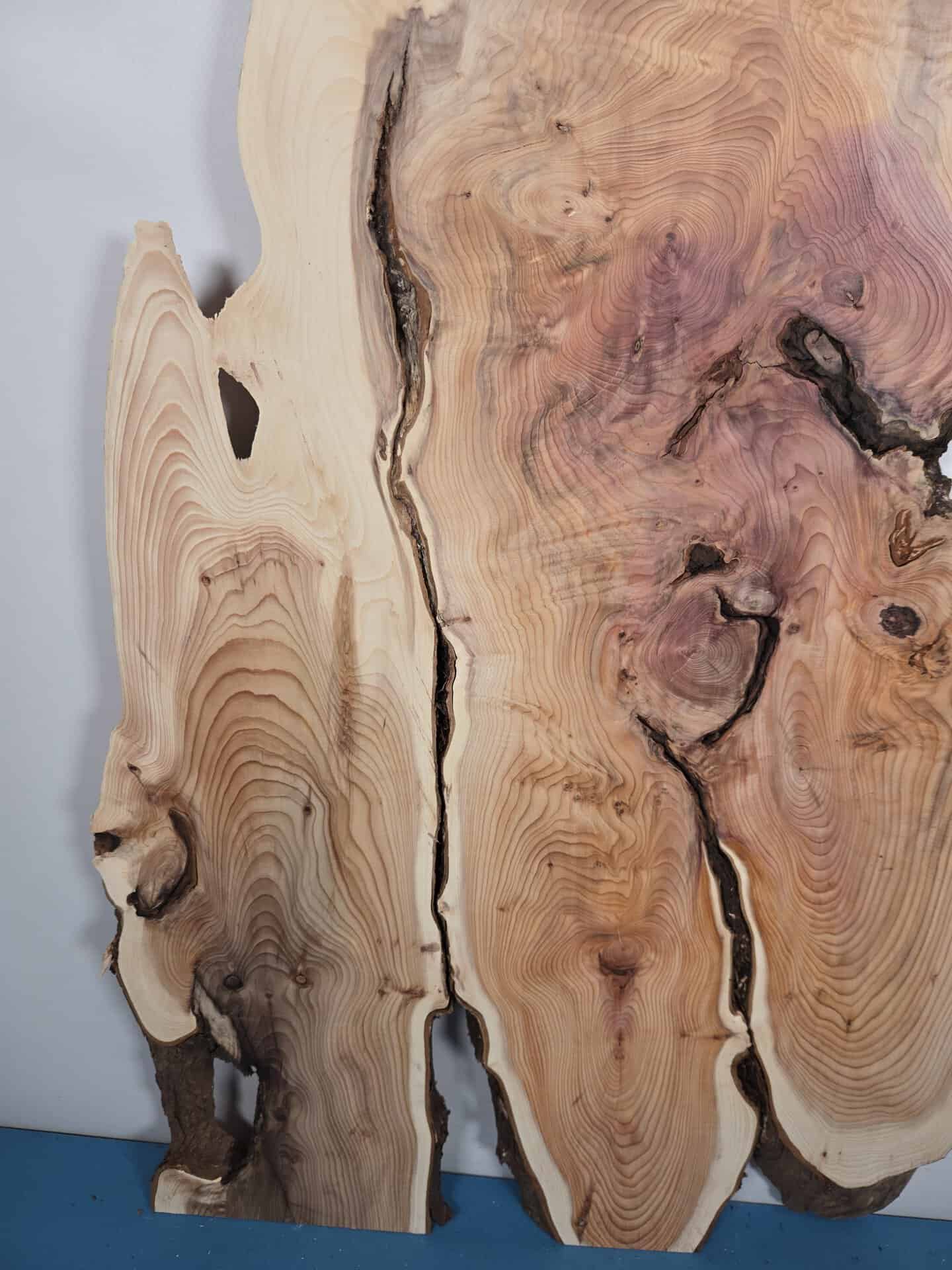 Characterful Yew Offcut - Image 8