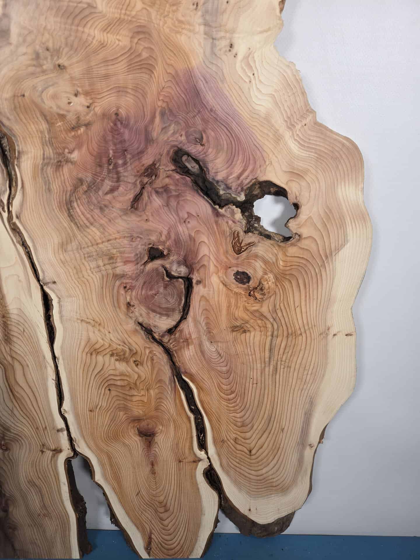 Characterful Yew Offcut - Image 9