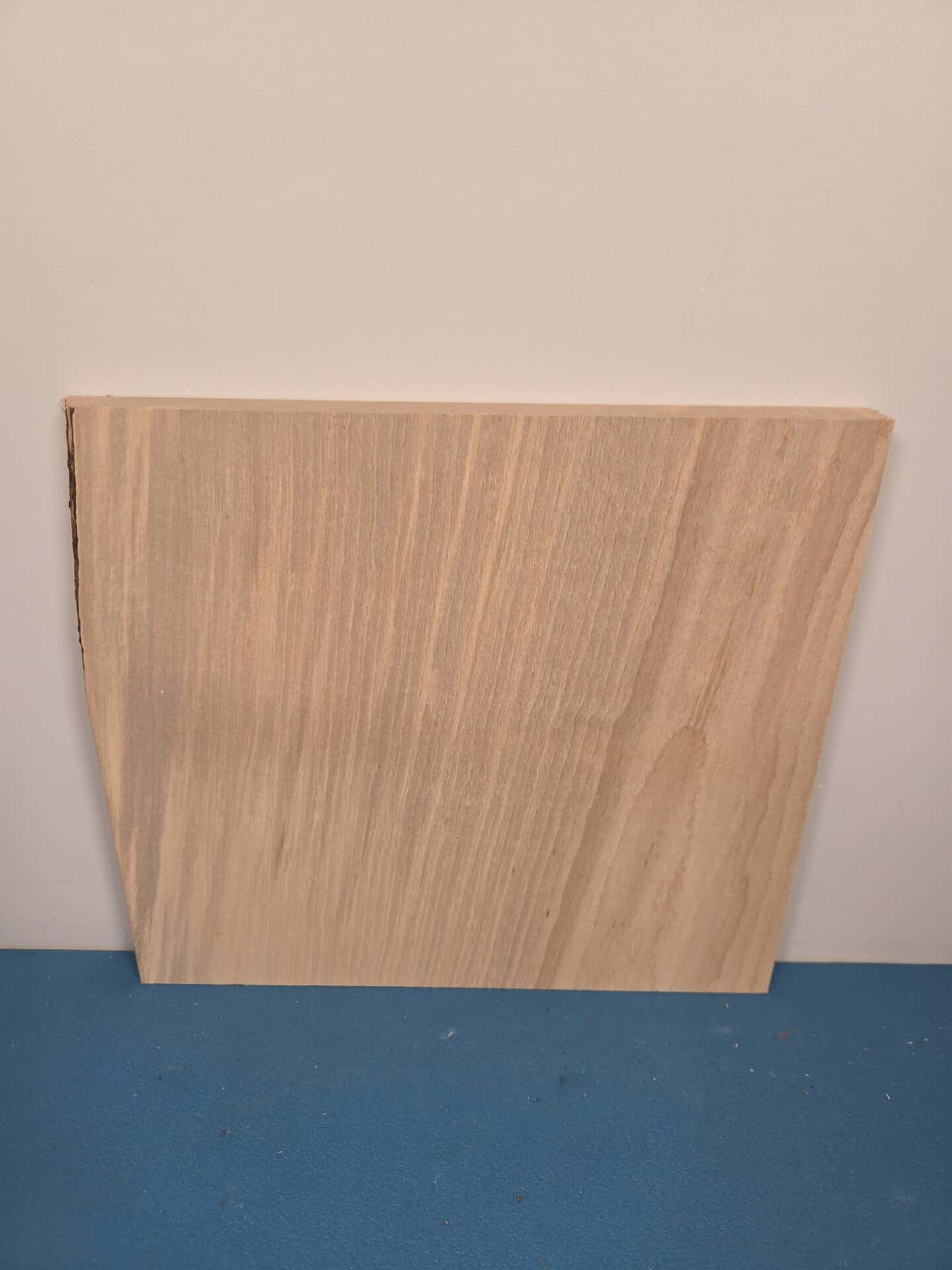 Single Beech offcut showing smooth planed surface and straight edges.