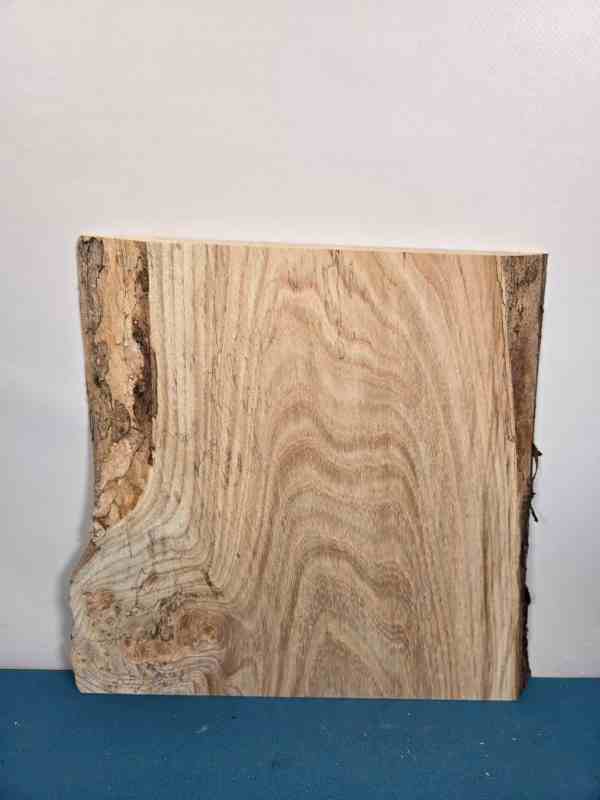 Spalted Elm offcut showing natural grain and spalting effects in timber.