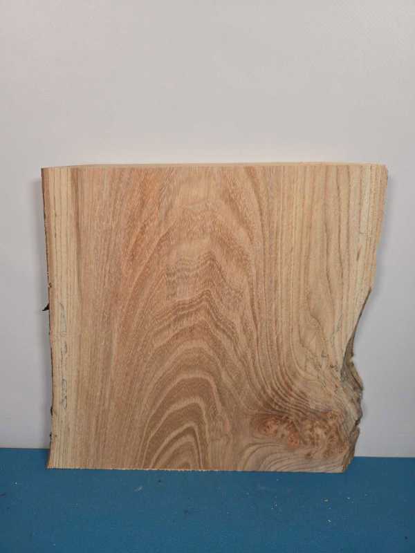 Spalted elm offcut showing natural grain and spalting effects in timber.