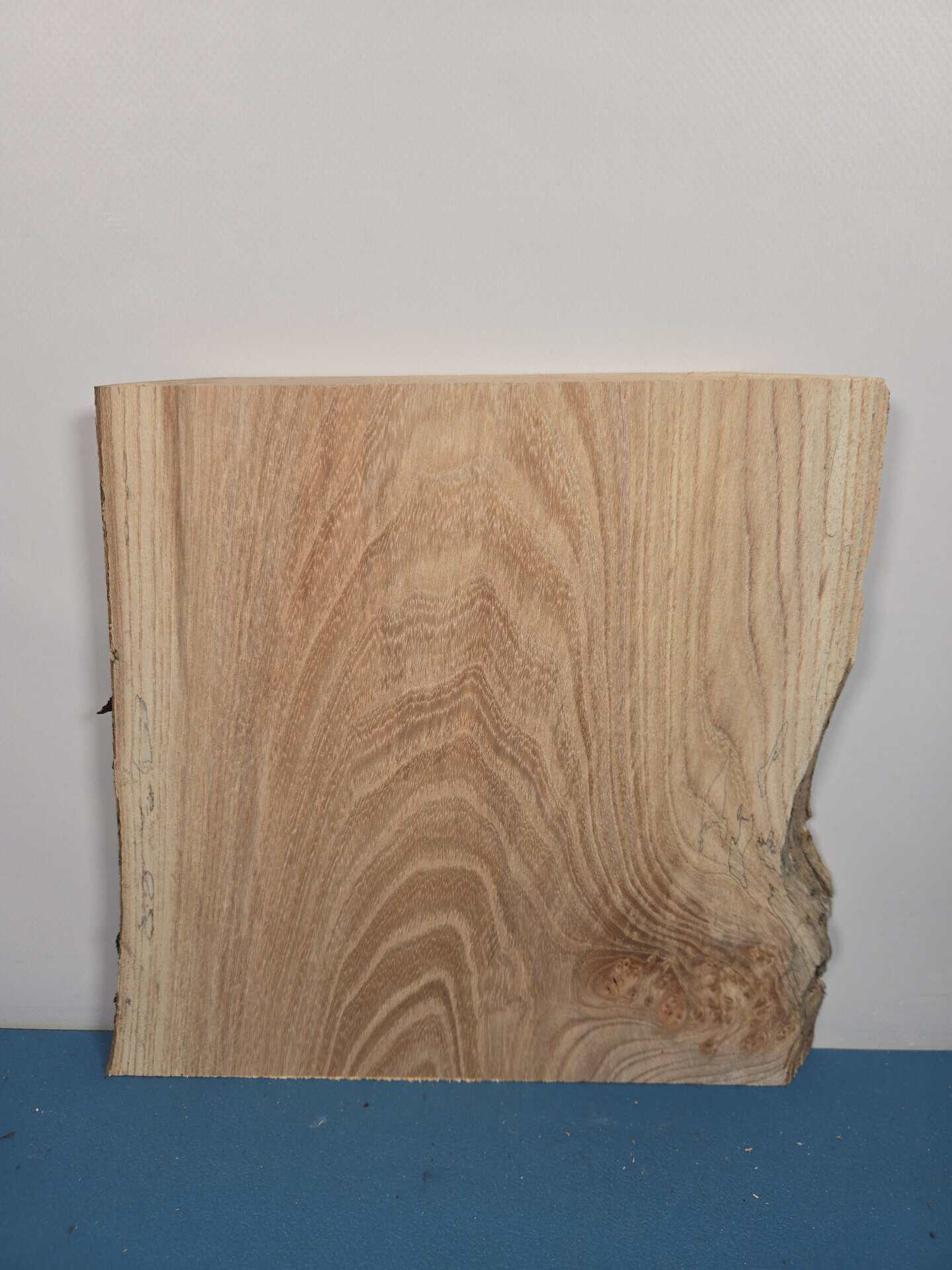 Spalted elm offcut showing natural grain and spalting effects in timber.