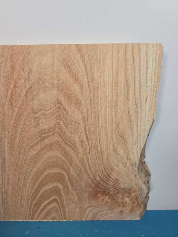 Spalted Elm offcut showing natural wood grain and spalting effects.