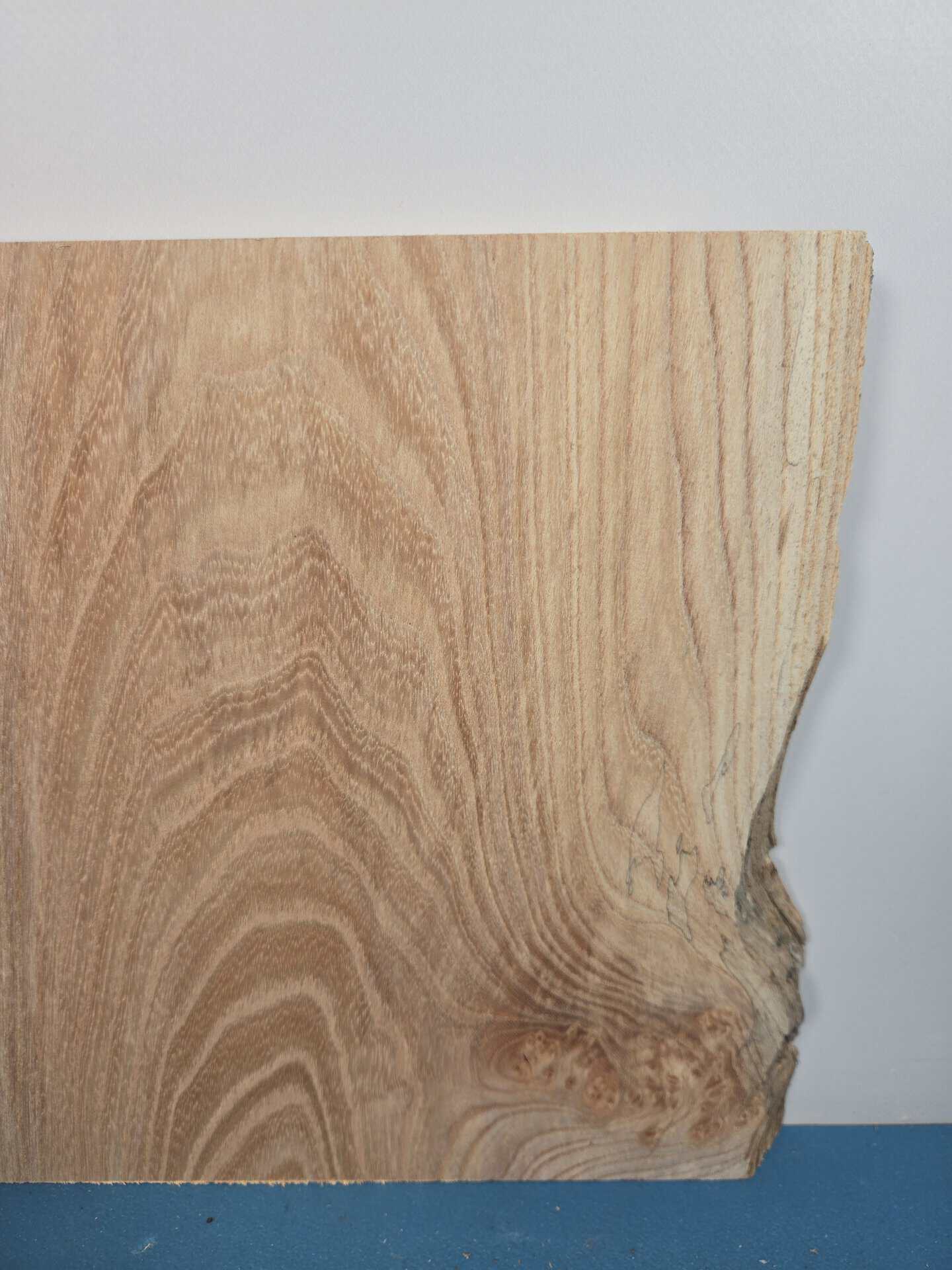 Spalted Elm offcut showing natural wood grain and spalting effects.