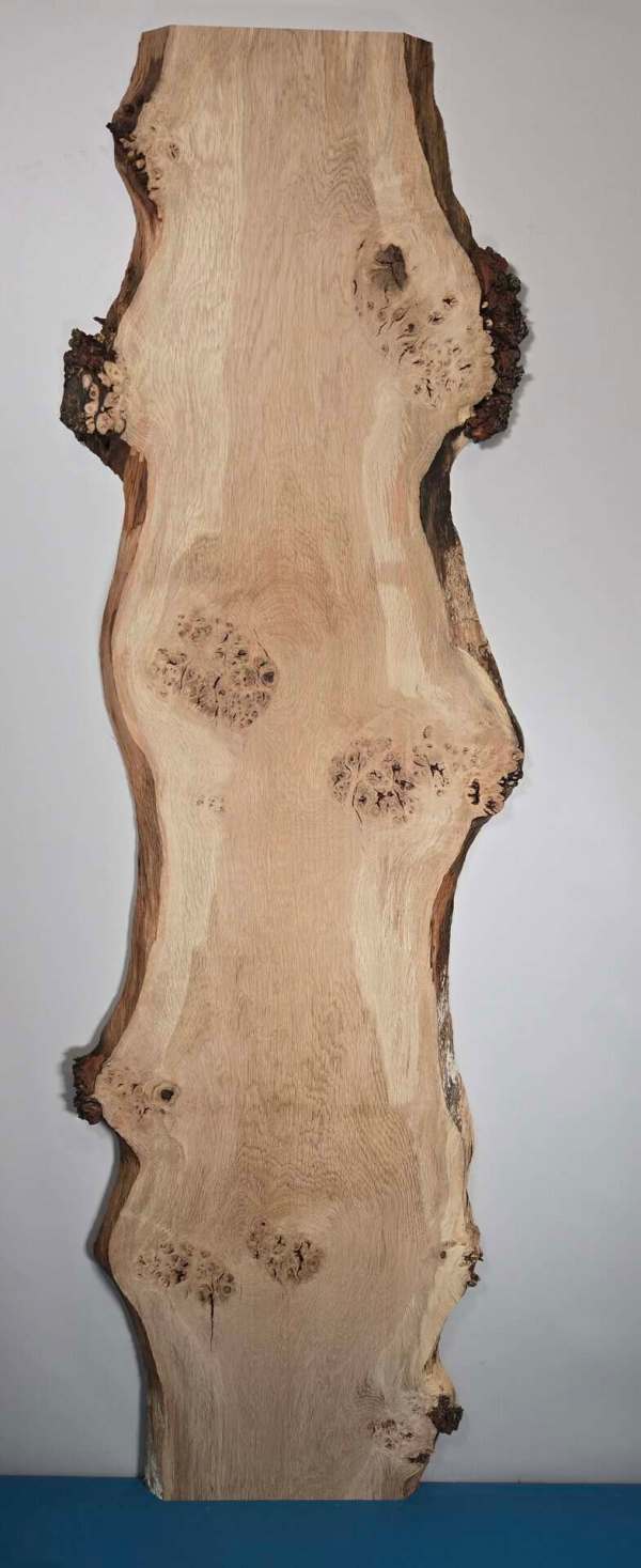 Photo of Burry Scottish Oak
