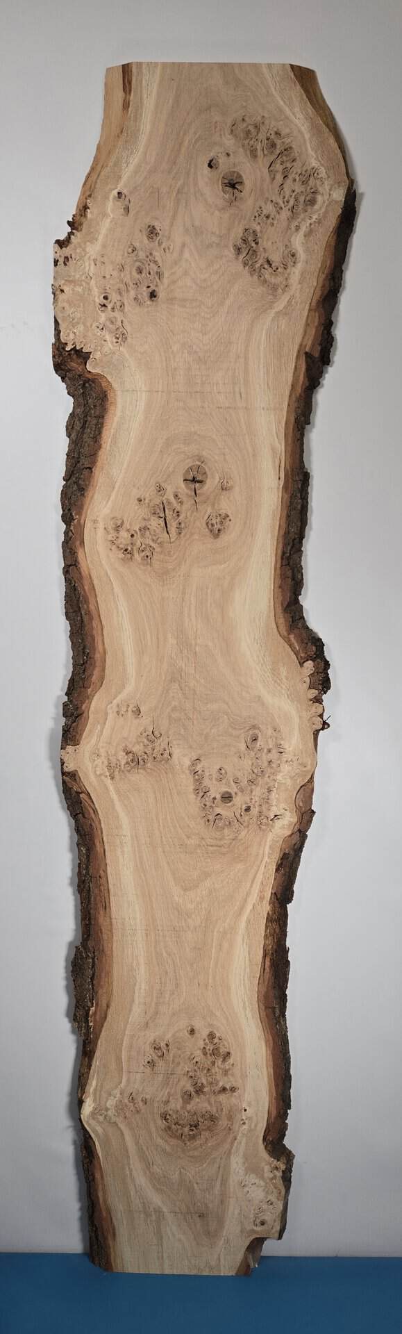 Photo of Live-edge Burr Oak