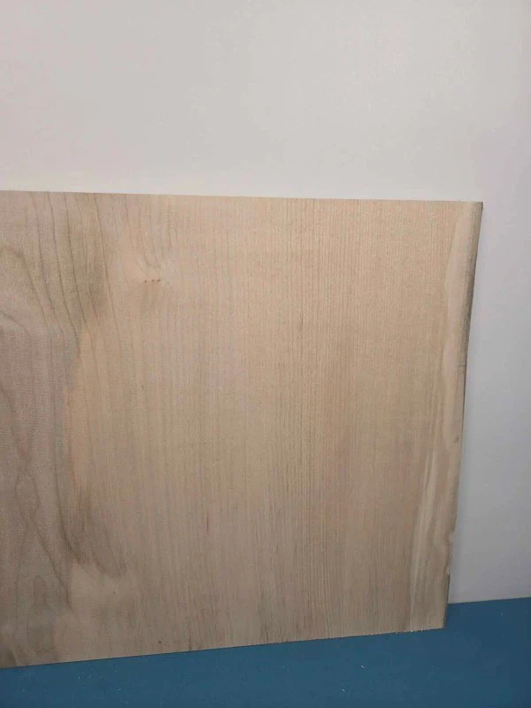 Natural edge Sycamore Offcut