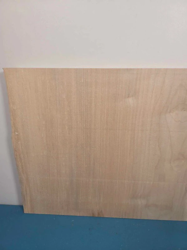 Natural edge Sycamore Offcut