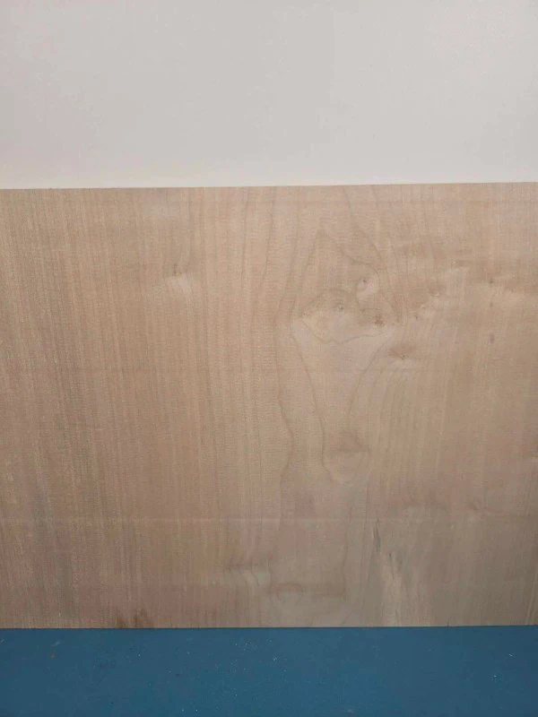 Natural edge Sycamore Offcut