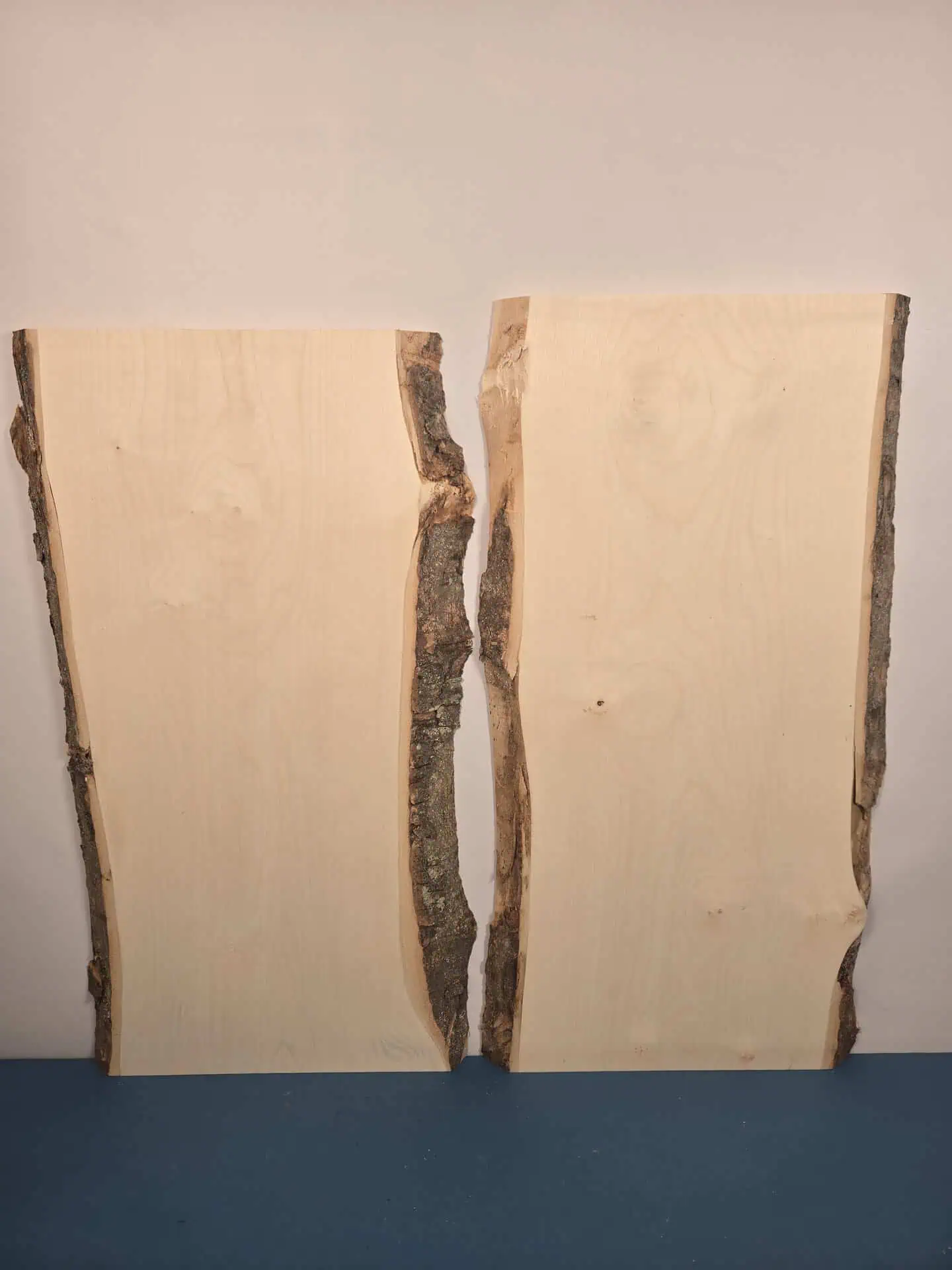 x2 Live edge Sycamore offcuts