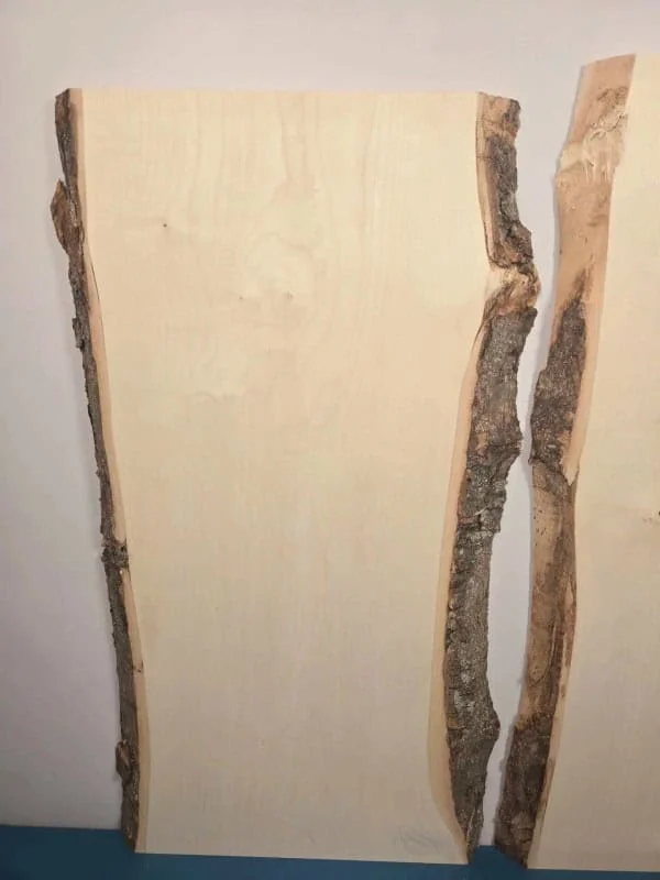 x2 Live edge Sycamore offcuts