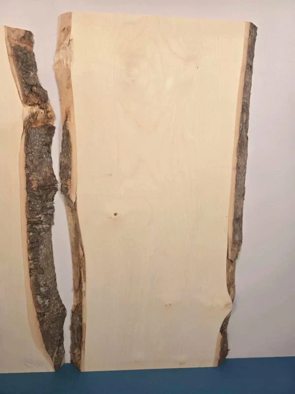 x2 Live edge Sycamore offcuts