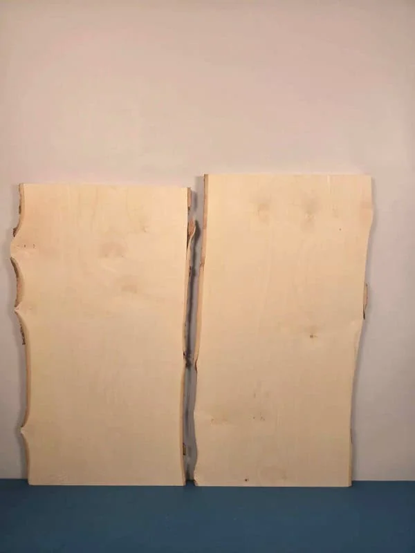 x2 Live edge Sycamore offcuts