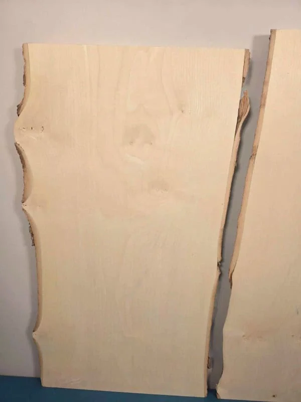 x2 Live edge Sycamore offcuts