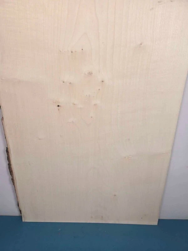 1 Live edge Sycamore