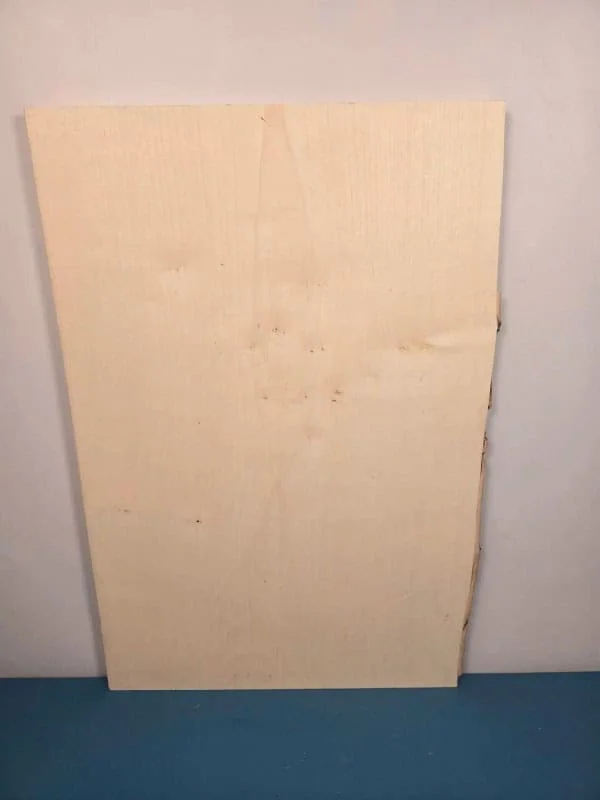 1 Live edge Sycamore