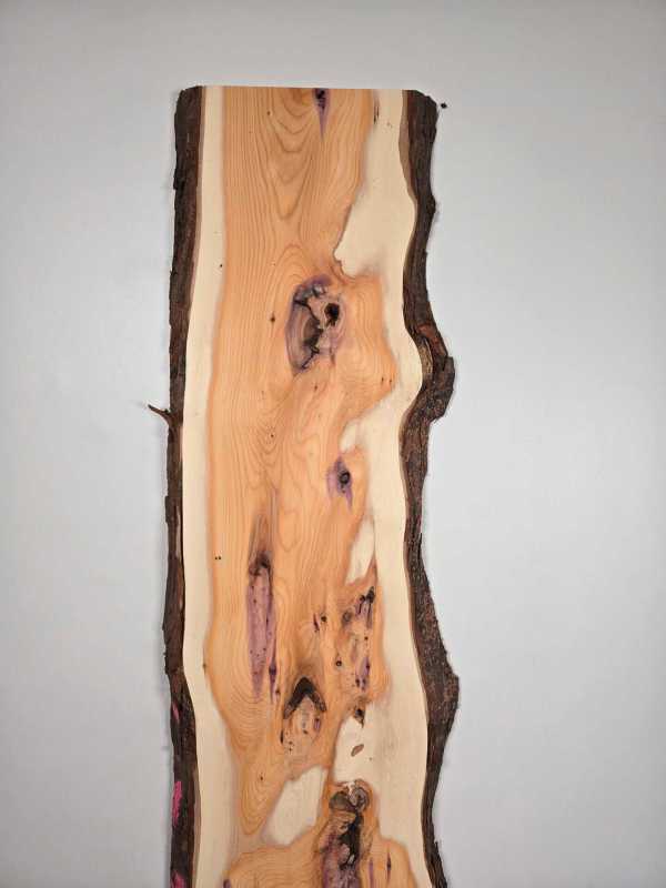 Yew wood slab with natural edge profile and live edge features, showing natural knots and grain.