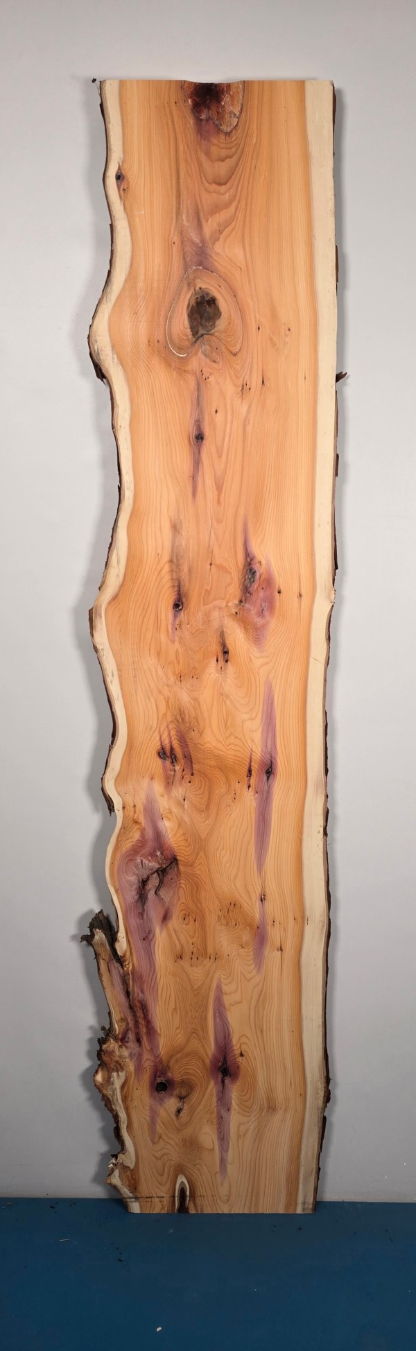 Yew wood slab with natural waney edge, planed face, rich grain and knots.