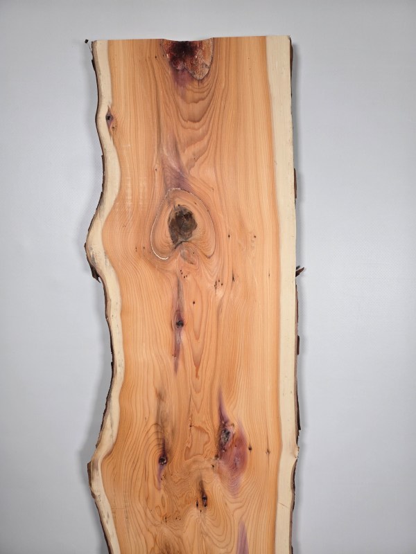 Yew timber slab with natural waney edge and pale sapwood showing knotted grain pattern.