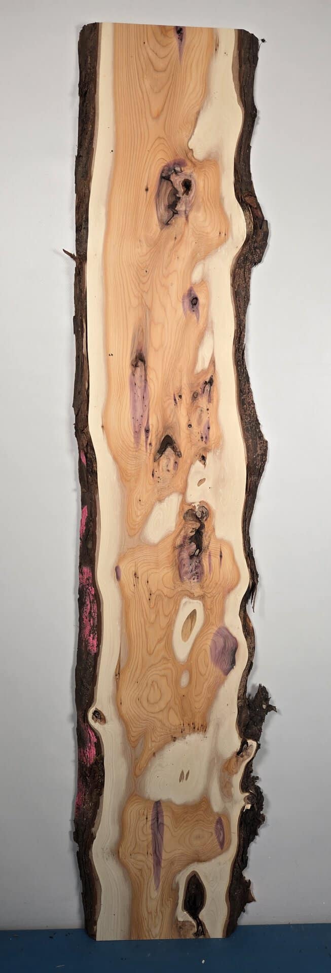 Yew wood plank with natural waney edge showing pink and purple resin pockets.
