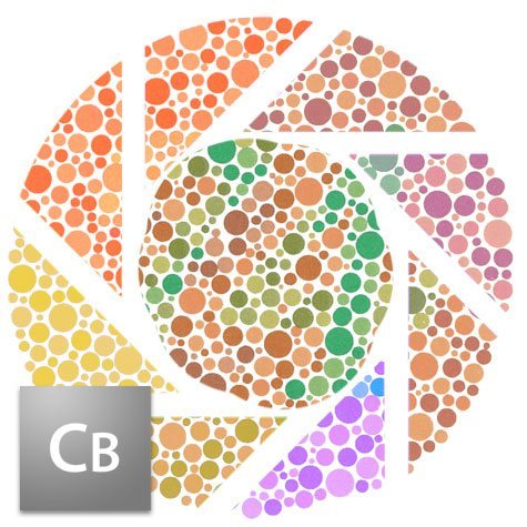 Being a color blind photographer
