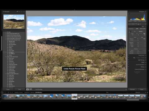 Lightroom Presets from Nicolesy