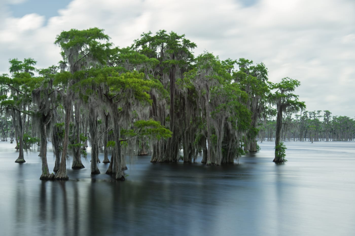 What Floats By In Georgia what-floats-georgia