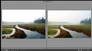 photo-critique-recover-go-minimal