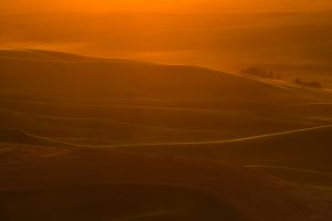 Setting Sun in Palouse
