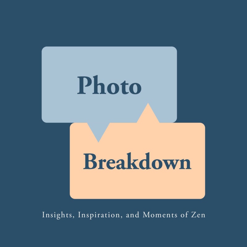 Photo Breakdown #2 with Lauri Novak Photo Breakdown Podcast Art
