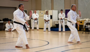 photo breakdown black belt test