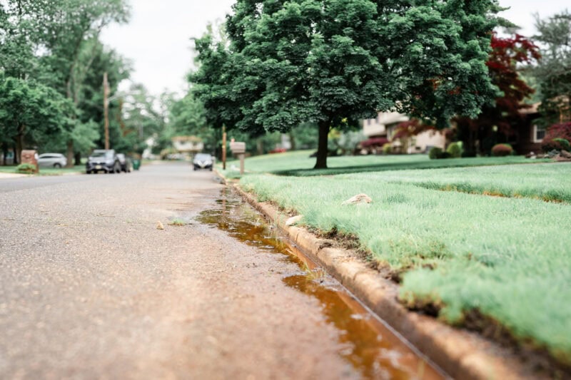 The Perfect EDC Camera - Nikon Zf Suburban street with wet curb and lush trees.