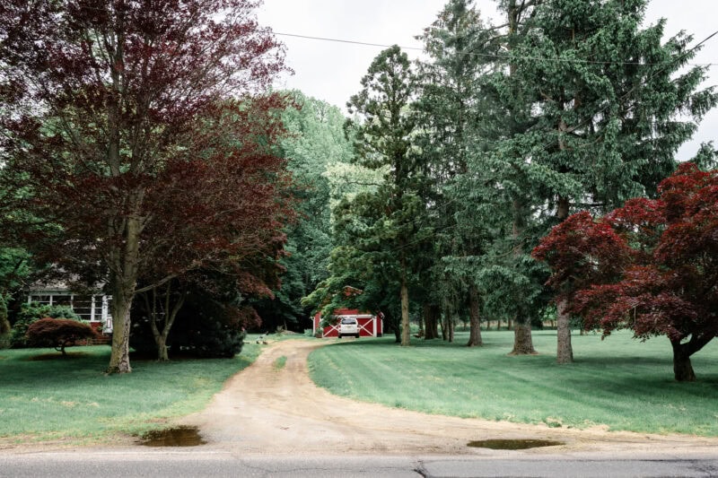 The Perfect EDC Camera - Nikon Zf Rural road leading to red barn among vibrant trees.