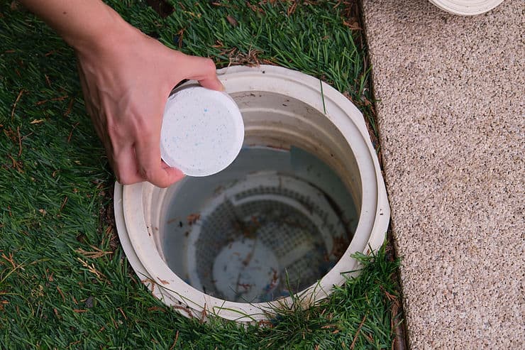 image is About Skimmer Baskets