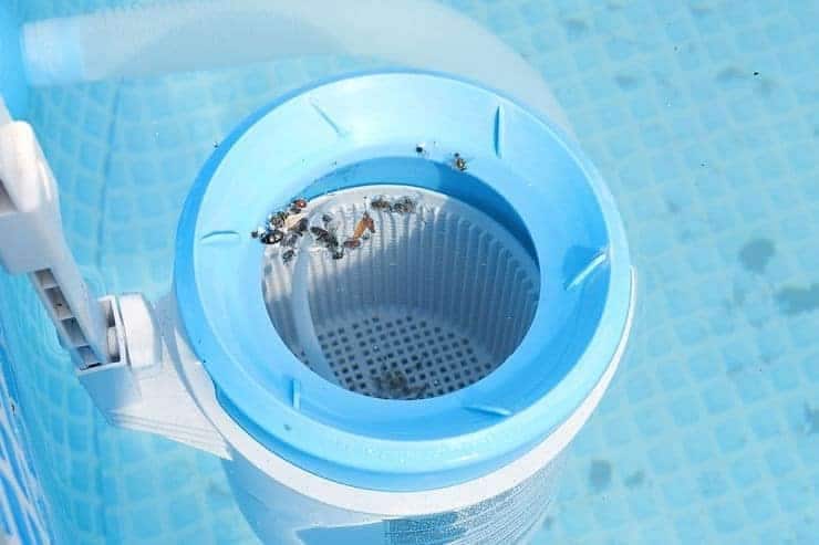 Pool Surface Stains being cleaned