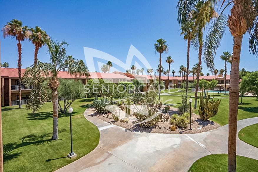 Desert landscape with palm trees at Ivy Park The Carlotta