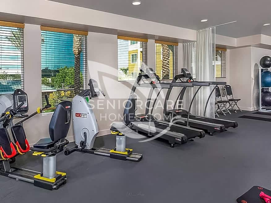 Fitness center at Clearwater at Riverpark with treadmills, recumbent bikes, exercise balls, and windows overlooking palm trees.
