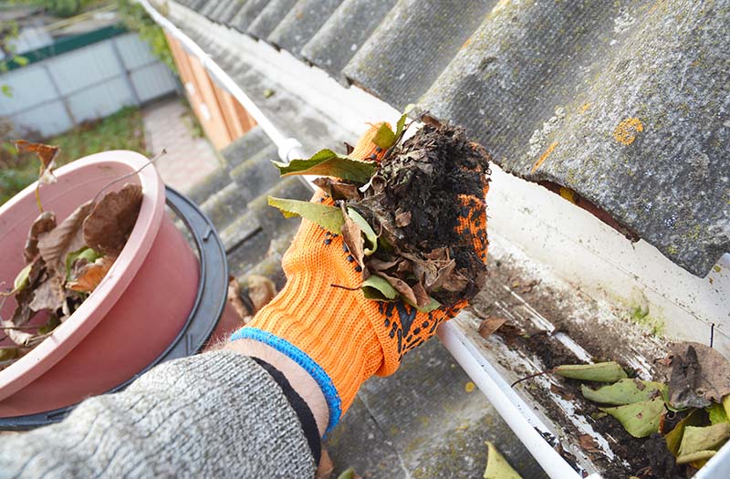 Cleaning of clogged gutter with leaves and debris.